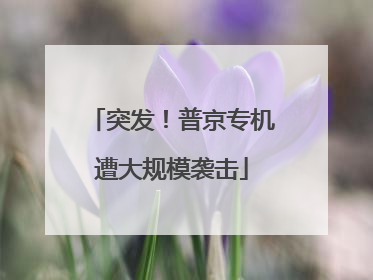 突发！普京专机遭大规模袭击