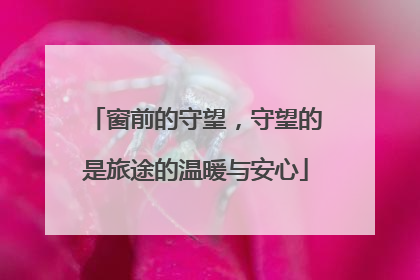 窗前的守望，守望的是旅途的温暖与安心