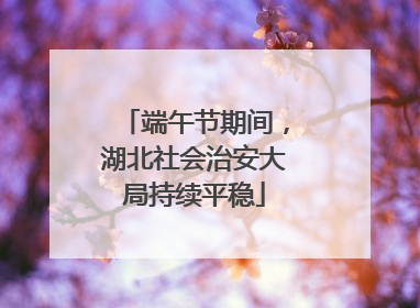 端午节期间，湖北社会治安大局持续平稳