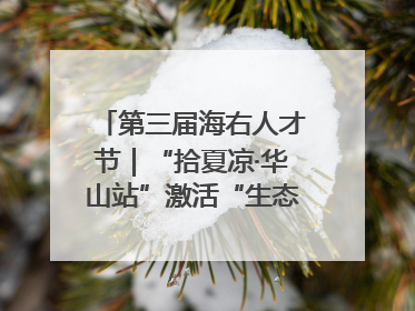 第三届海右人才节｜“拾夏凉·华山站”激活“生态聚才”强磁场