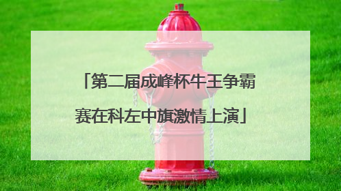 第二届成峰杯牛王争霸赛在科左中旗激情上演