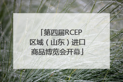 第四届RCEP区域（山东）进口商品博览会开幕