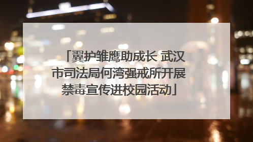 翼护雏鹰助成长 武汉市司法局何湾强戒所开展禁毒宣传进校园活动
