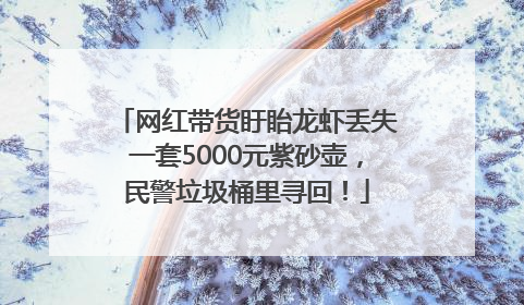 网红带货盱眙龙虾丢失一套5000元紫砂壶，民警垃圾桶里寻回！