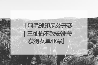 羽毛球印尼公开赛｜王祉怡不敌安洗莹 获得女单亚军