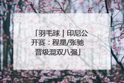 羽毛球｜印尼公开赛：程星/张驰晋级混双八强