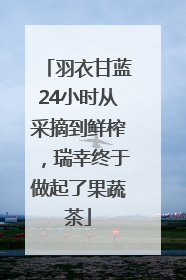 羽衣甘蓝24小时从采摘到鲜榨，瑞幸终于做起了果蔬茶