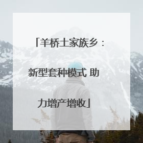 羊桥土家族乡：新型套种模式 助力增产增收