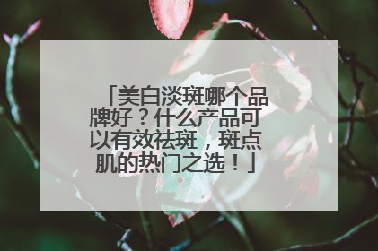 美白淡斑哪个品牌好？什么产品可以有效祛斑，斑点肌的热门之选！