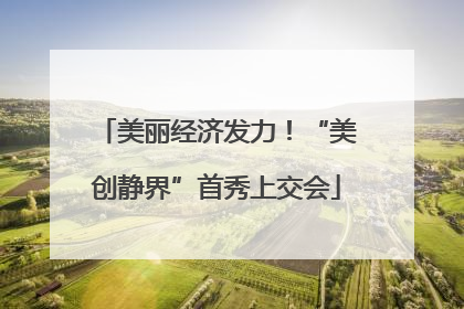 美丽经济发力！“美创静界”首秀上交会
