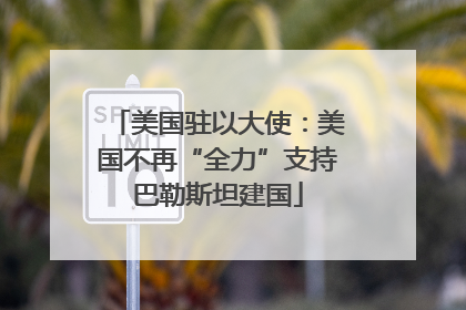 美国驻以大使：美国不再“全力”支持巴勒斯坦建国