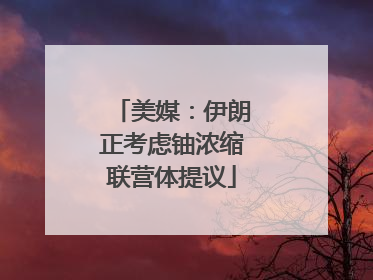 美媒：伊朗正考虑铀浓缩联营体提议