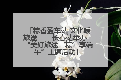 粽香盈车站 文化暖旅途——长春站举办 “美好旅途‘粽’享端午”主题活动