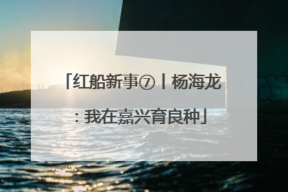 红船新事⑦丨杨海龙：我在嘉兴育良种