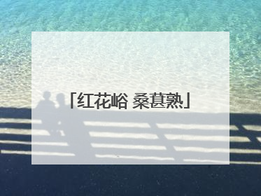 红花峪 桑葚熟