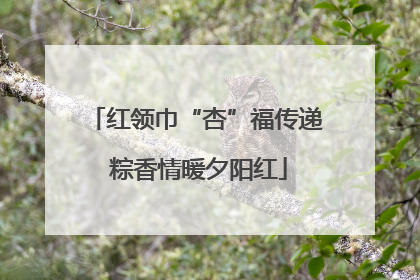 红领巾“杏”福传递 粽香情暖夕阳红