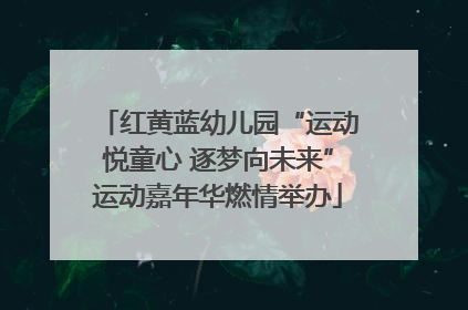 红黄蓝幼儿园“运动悦童心 逐梦向未来”运动嘉年华燃情举办