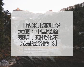 纳米比亚驻华大使：中国经验表明，现代化不光是经济腾飞