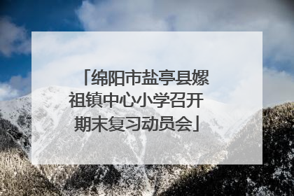绵阳市盐亭县嫘祖镇中心小学召开期末复习动员会