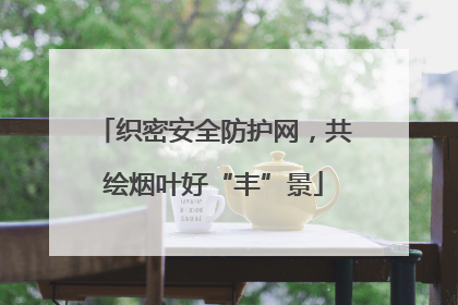 织密安全防护网，共绘烟叶好“丰”景