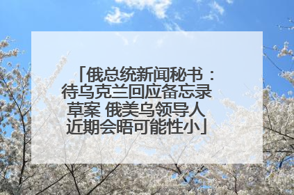俄总统新闻秘书：待乌克兰回应备忘录草案 俄美乌领导人近期会晤可能性小