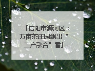 信阳市浉河区：万亩茶庄园飘出“三产融合”香