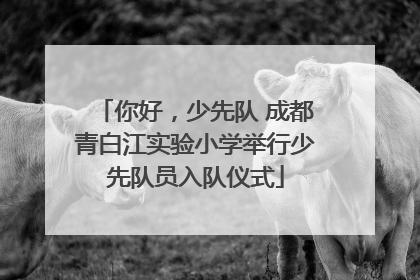 你好，少先队 成都青白江实验小学举行少先队员入队仪式