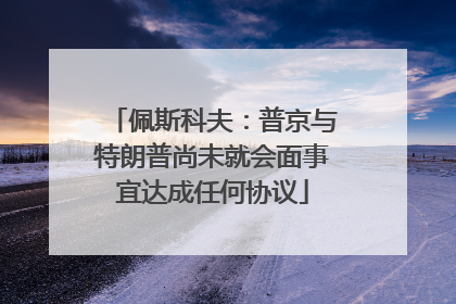 佩斯科夫：普京与特朗普尚未就会面事宜达成任何协议