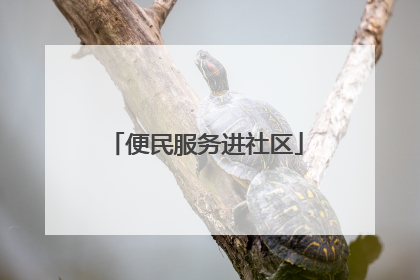 便民服务进社区