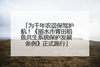 为千年农遗保驾护航！《丽水市青田稻鱼共生系统保护发展条例》正式施行