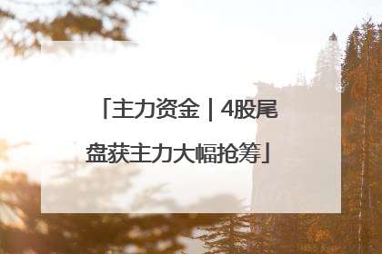 主力资金｜4股尾盘获主力大幅抢筹