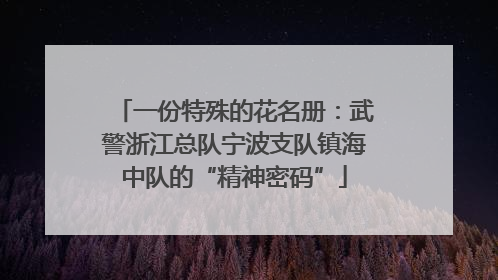 一份特殊的花名册：武警浙江总队宁波支队镇海中队的“精神密码”