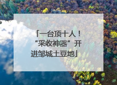 一台顶十人！“采收神器”开进邹城土豆地