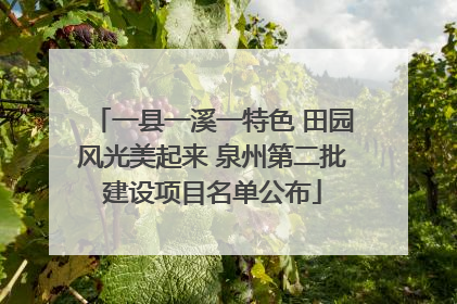 一县一溪一特色 田园风光美起来 泉州第二批建设项目名单公布