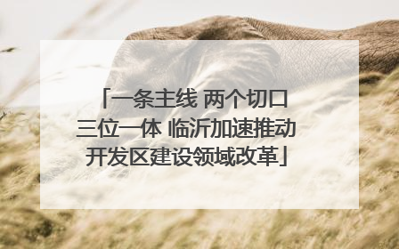 一条主线 两个切口 三位一体 临沂加速推动开发区建设领域改革