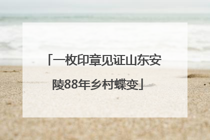 一枚印章见证山东安陵88年乡村蝶变