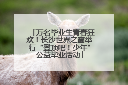 万名毕业生青春狂欢！长沙世界之窗举行“登顶吧！少年”公益毕业活动