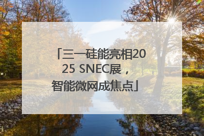 三一硅能亮相2025 SNEC展，智能微网成焦点