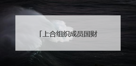上合组织成员国财长和央行行长会议支持深化财金合作