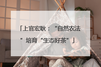 上官宏耿：“自然农法”培育“生态好茶”