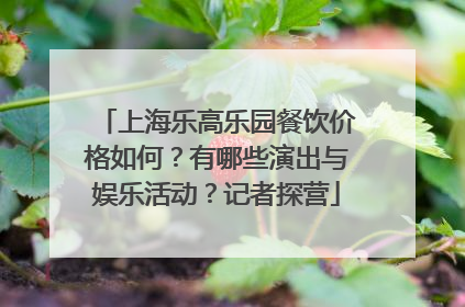 上海乐高乐园餐饮价格如何？有哪些演出与娱乐活动？记者探营