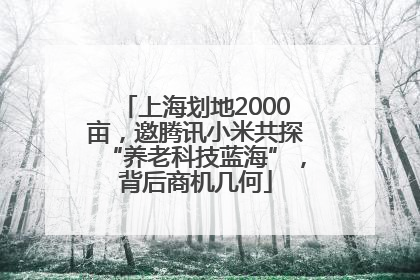 上海划地2000亩，邀腾讯小米共探“养老科技蓝海”，背后商机几何