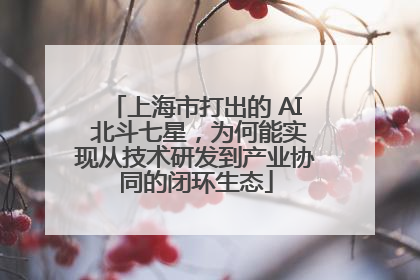 上海市打出的 AI 北斗七星，为何能实现从技术研发到产业协同的闭环生态
