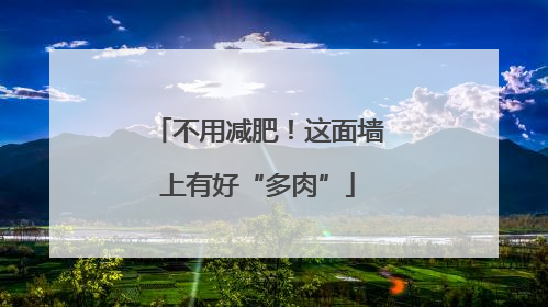 不用减肥！这面墙上有好“多肉”