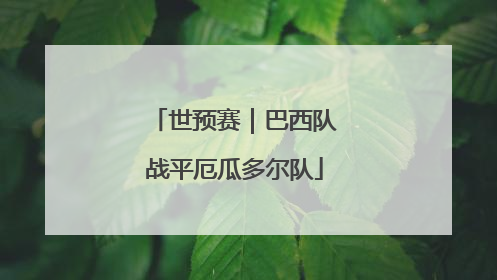 世预赛｜巴西队战平厄瓜多尔队