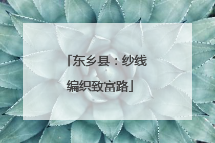 东乡县：纱线编织致富路