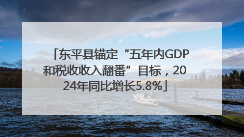 东平县锚定“五年内GDP和税收收入翻番”目标，2024年同比增长5.8%