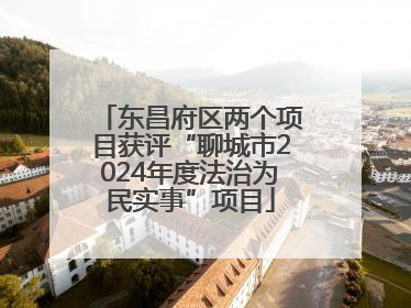 东昌府区两个项目获评“聊城市2024年度法治为民实事”项目