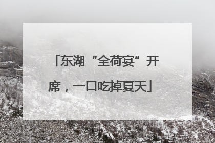 东湖“全荷宴”开席，一口吃掉夏天