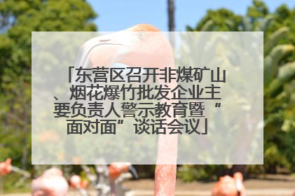 东营区召开非煤矿山、烟花爆竹批发企业主要负责人警示教育暨“面对面”谈话会议